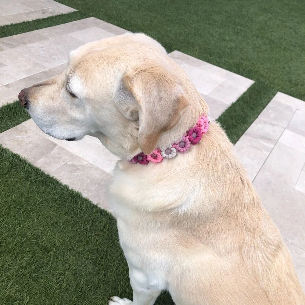 Pink Flower Dog Collar ~ Adjustable 15
